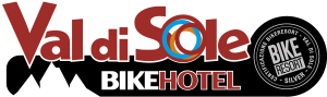 Logo vds_bikeland_timbro silver_1200px (2) (002)